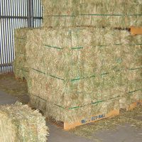 EzyBale compressed bales