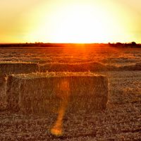 Sunset over the hay paddocks