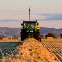 Harvest time
