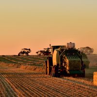 Harvest time
