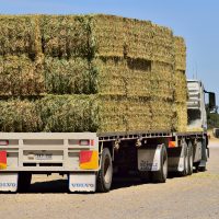 Bales loaded on the truck ready for delivery