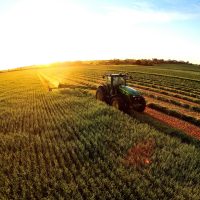 Harvest time