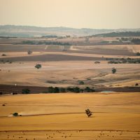 The Barossa Valley