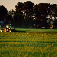 Beautiful Spring crops