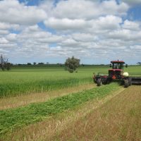 Baling