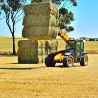 Stacking Hay