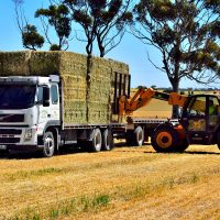 Stacking Bales the Ezy Way