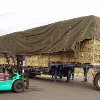 Loading Bales the Ezy Way