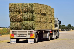 Bales_On_Truck~